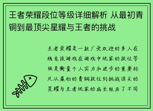 王者荣耀段位等级详细解析 从最初青铜到最顶尖星耀与王者的挑战