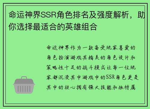 命运神界SSR角色排名及强度解析，助你选择最适合的英雄组合